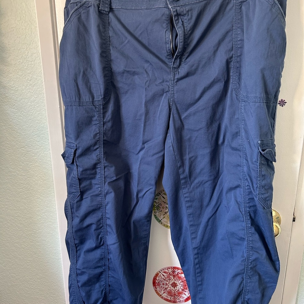 Style & Co. Blue Capris Lightweight Matte Finish